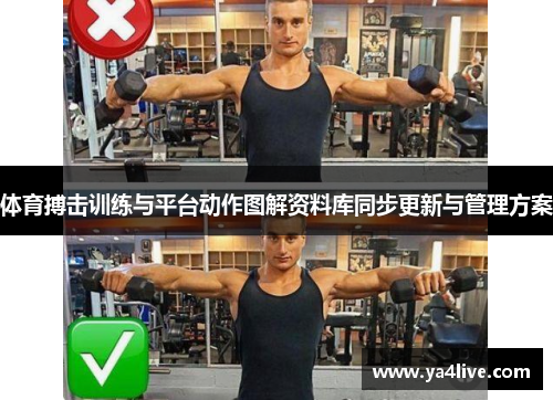 体育搏击训练与平台动作图解资料库同步更新与管理方案