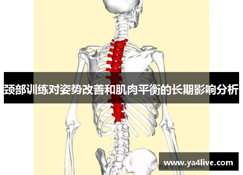 颈部训练对姿势改善和肌肉平衡的长期影响分析